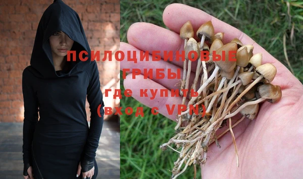 mdpv Няндома